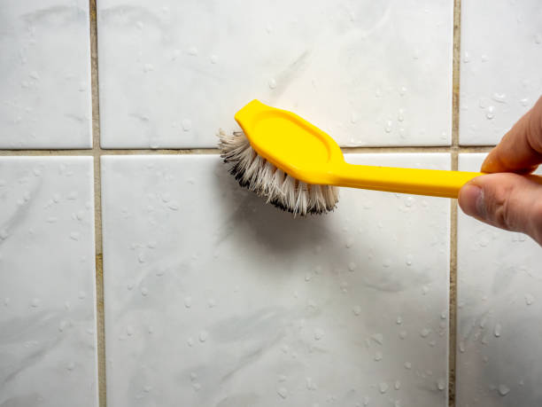 Best Local Mold Removal Service  in Ashland, OR