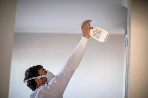Best Mold Damage Repair  in Ashland, OR