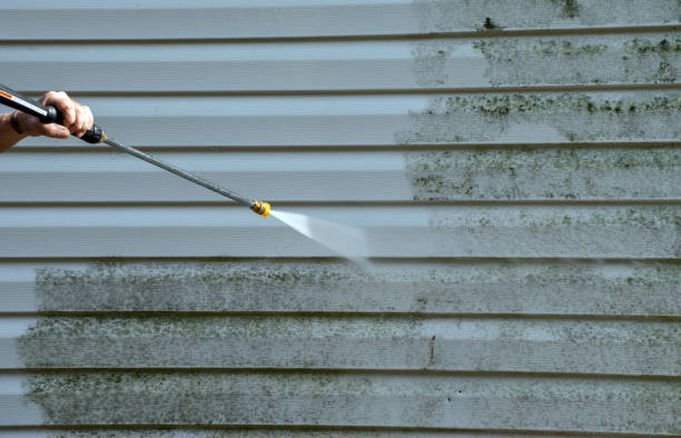 Best Mold Cleaning Services  in Ashland, OR