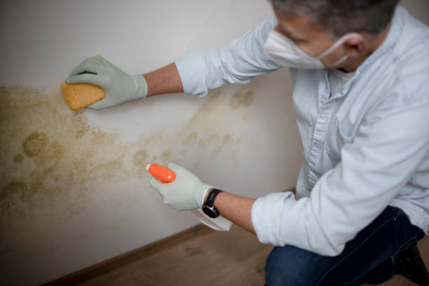 Best Emergency Mold Removal  in Ashland, OR