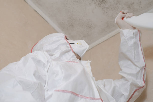 Office Mold Removal Services in Ashland, OR