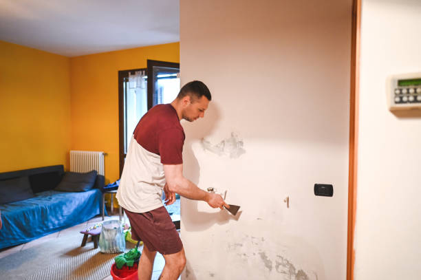 Best Same-Day Mold Removal  in Ashland, OR