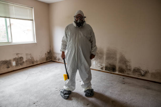 Best Mold Testing and Removal  in Ashland, OR